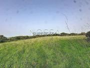 Terreno em Almargem do Bispo, Pêro Pinheiro e Montelavar