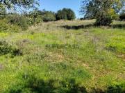 Urbanizável em Conceição e Estoi