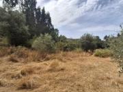 Terreno em Pussos São Pedro