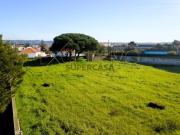 Terreno em São João das Lampas e Terrugem