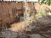 Urbano com Ruina, Lagos, ão de São João