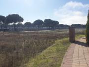 Urbis te ofrece parcelas urbanas en Aldeamayor de San...