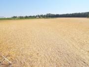 Urbis te ofrece un terreno en Doñinos de Salamanca, zona...