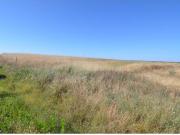 Urbis te ofrece un terreno en venta en Almenara de...