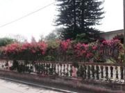 URGE VENDO CASA EN LA COL OTILIO MONTAÑO