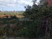 Urgent vend terrain 100m à lotis malak sahel