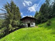 Reserviert! Urige Almhütte in Alleinlage in Mühlbach am...