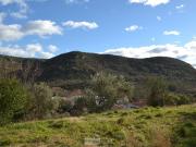 Uzer Vente Terrain 65