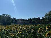 Uzès 30700 Achat / Vente appartement 2 pièces t2