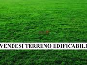 V000540 FONDOTOCE, TERRENO EDIFICABILE PER CIRCA 120 MQ