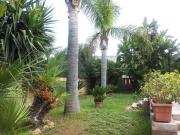 V1265 In vendita a Marsala casa antica con terreno