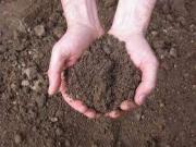 V1404 In vendita a Petrosino terreno agricolo