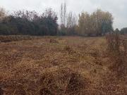 V 1559 MC Vendo Propiedad con Casa en Rengo