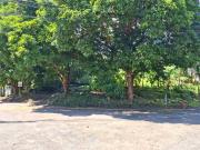 Vacant Corner Lot in Ayala Heights, Quezon City