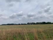 vacant farm land for sale