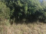 vacant land for sale