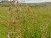 vacant land for sale