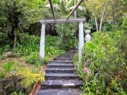 Vacant Land / Plot in Constantia For Sale