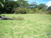 Vacant Land / Plot in Gonubie For Sale