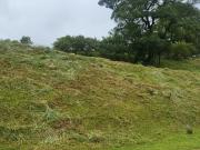 Vacant Land / Plot in Montrose For Sale