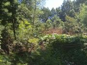 Vacant Land / Plot in Mooikloof For Sale
