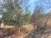 Vacant Land / Plot in Oakdene For Sale