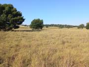 Vacant Land / Plot in Rietfontein SH For Sale
