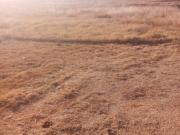Vacant Land / Plot in Sundra AH For Sale