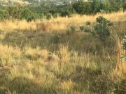 Vacant Land / Plot in Waterkloof Heights For Sale