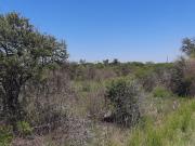 Vacant Land / Plot in Wildebeeshoek AH For Sale