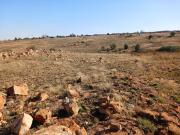 Vacant Land / Plot in Witpoortjie For Sale