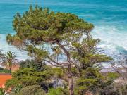 Vacant Land Residential For Sale in St James Vacant Land Residential For Sale in St James