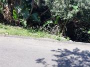 Vacant Land with loads of potential