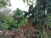 Vacant Lot Cornering Lot for Sale in LA Vista QC