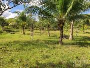 Vacant lot for sale in Dauis, Bohol
