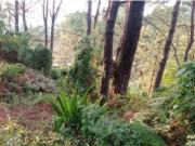 Vacant lot for sale in Demonstration Mines Road interior...