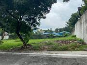 Vacant Lot For Sale in Hillsborough Alabang, Muntinlupa City