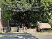 Vacant Lot for sale in San Antonio Village Makati City...