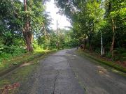 Vacant lot for sale in Town and Country Estates Barangay...