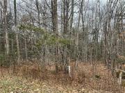 Vacant Lot Hall Rd, Lakeside, NB, E5N 7G6 vacant land...