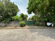 Vacant Lot in Ayala Alabang Village