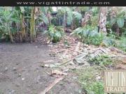 Vacant Lot With Title