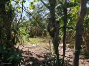 Vacant Residential Lot at Victoria Homes Muntinlupa for Sale