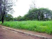 Vacant Residential Lot for Sale in Dasmariñas Village,...