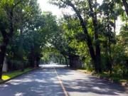 Vacant Residential Lot for Sale in Dasmariñas Village,...