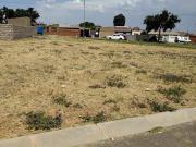 vacant stand on the market in meadow.