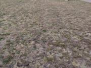 vacant stand on the market in vander.