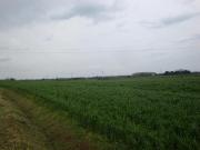 VADA monolocale 35000mq