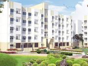 Vadsar Commercial Land 15000 Sq. Yd. in Vadsar Ahmedabad...