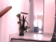 Vaga Em Quarto, Compartilhada Mista PROX METRÔ BELÉM